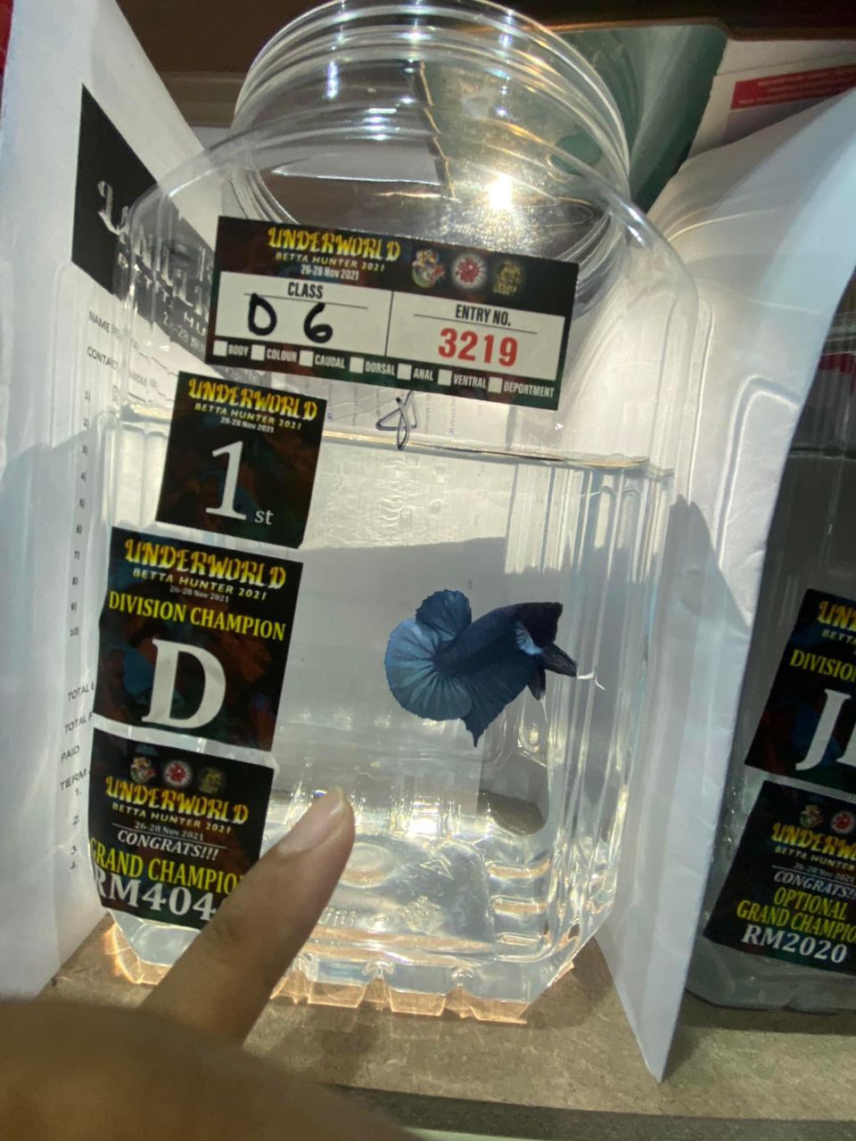 betta
